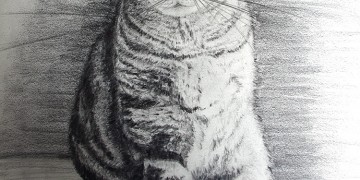 comment dessiner un chat dans l'ombre