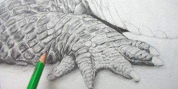 technique pour dessiner la peau d'un crocodile étape par étape