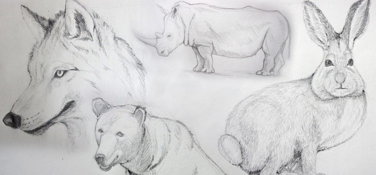 tag dessin facile animaux