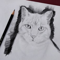 tutoriel de dessin en vidéo pour dessiner un chat facilement avec dessin-creation
