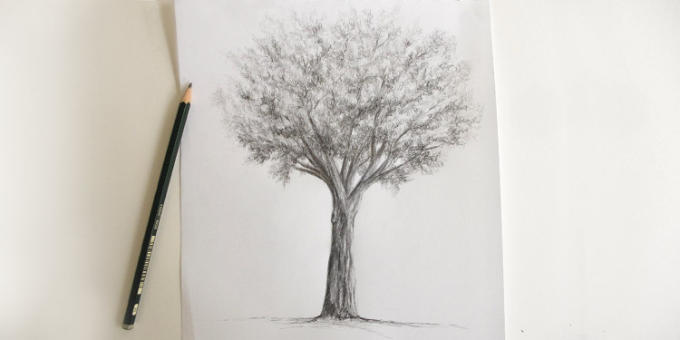 comment dessiner un arbre dessin creation