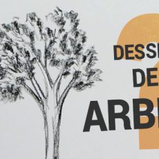 apprendre à dessiner des arbres à l'aide d'une méthode simple et efficace