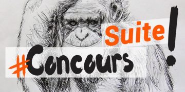 concours de dessin dessinons tous ensemble avec dessin-creation