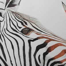 Cours de peinture gratuit : peindre un zèbre à l'aquarelle
