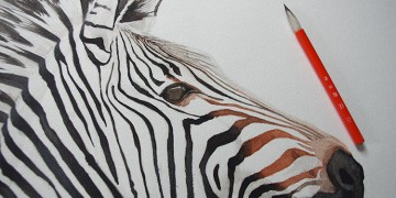 Cours de peinture gratuit : peindre un zèbre à l'aquarelle
