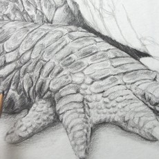 technique pour dessiner la peau d'un crocodile étape par étape