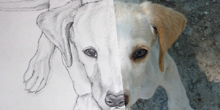 tutoriel pour apprendre à dessiner un chien pas à pas