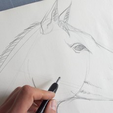 apprendre à dessiner un cheval par dessin-creation