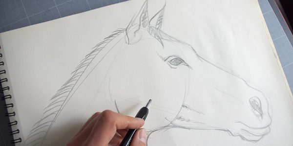 Apprendre à dessiner des animaux : comment dessiner étape par étape