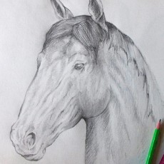 Dessiner un cheval au crayon facilement