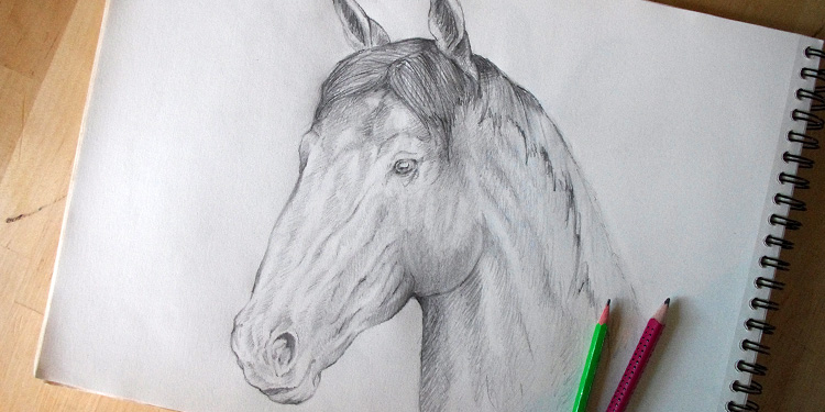 Dessiner un cheval au crayon facilement