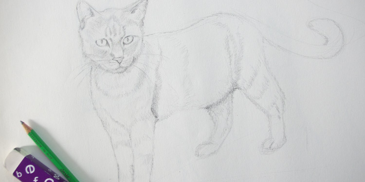 technique pour dessiner un chat au crayon