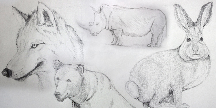 Cours de dessin gratuit et facile pour dessiner les animaux avec dessin-création