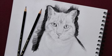 tutoriel de dessin en vidéo pour dessiner un chat facilement avec dessin-creation