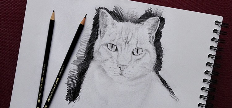tutoriel de dessin en vidéo pour dessiner un chat facilement avec dessin-creation