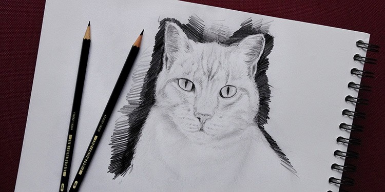 Comment Dessiner Un Chat Facilement Tutoriel Video Episode 3