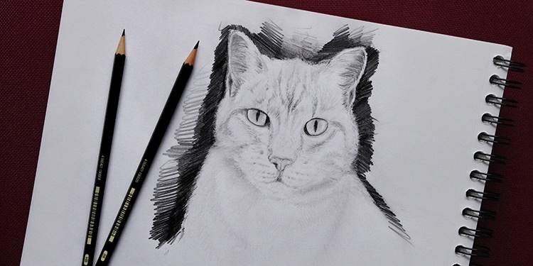 COMMENT DESSINER UN CHAT FACILEMENT TUTORIEL VIDEO EPISODE 3