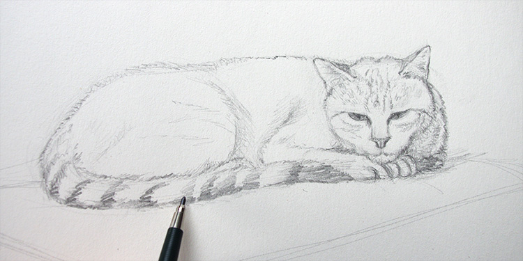 Dessiner Un Chat Couche Tutoriel En Video Episode 2 Apprendre A Dessiner Avec Dessin Creation