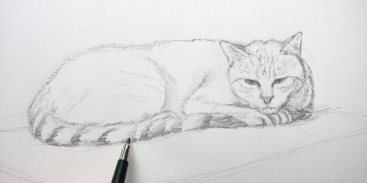 technique pour dessiner un chat couché au crayon