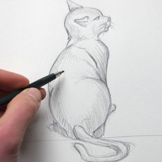 comment dessiner un chat de dos avec dessin-creation