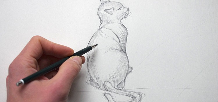 comment dessiner un chat de dos avec dessin-creation