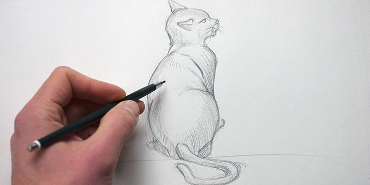 comment dessiner un chat de dos avec dessin-creation