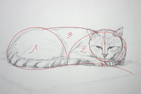 Dessiner Un Chat Couche Tutoriel En Video Episode 2 Apprendre A Dessiner Avec Dessin Creation