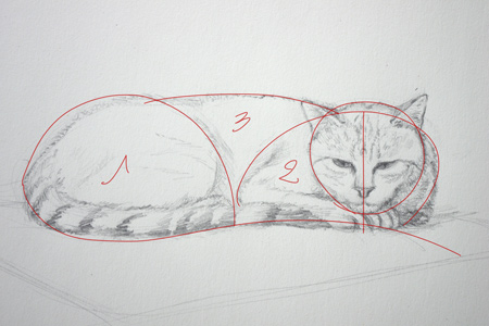 Comment dessiner un chat en le schématisant