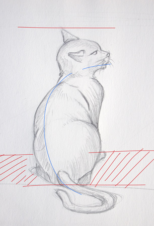 dessiner un chat de dos et le mouvement du corps
