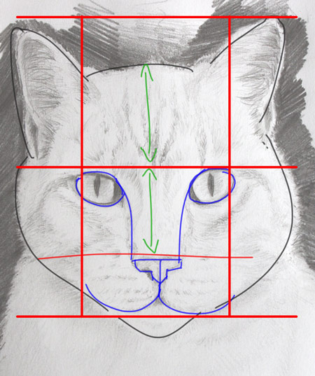 dessiner un portrait de chat simplement