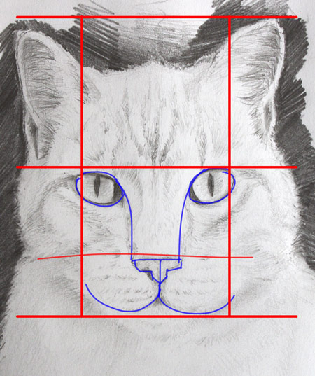 dessiner une tête de chat en la schématisant