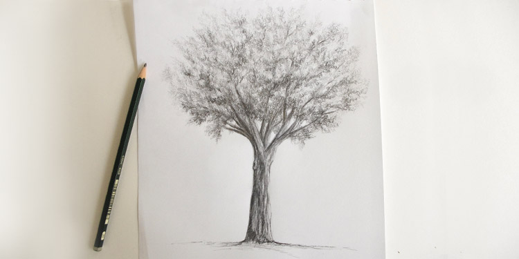 Comment dessiner un arbre ?