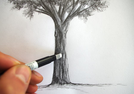 technique pour dessiner un arbre au crayon et le contraster