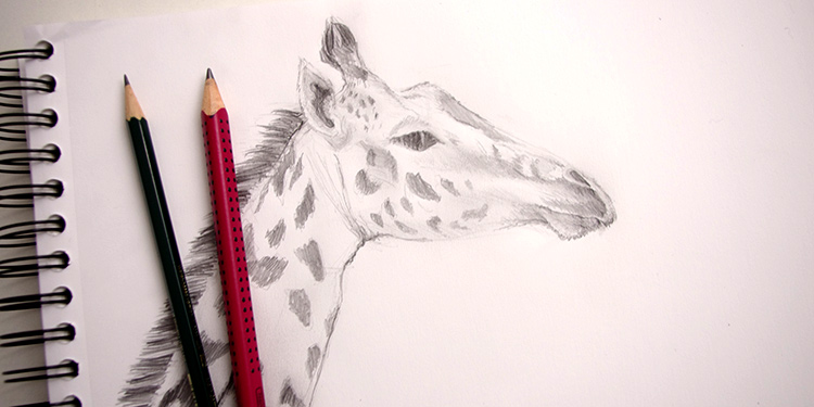 méthode très simple pour dessiner une girafe et faire son portrait pas à pas
