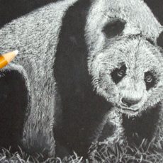 voici une méthode originale pour dessiner un panda en noir et blanc