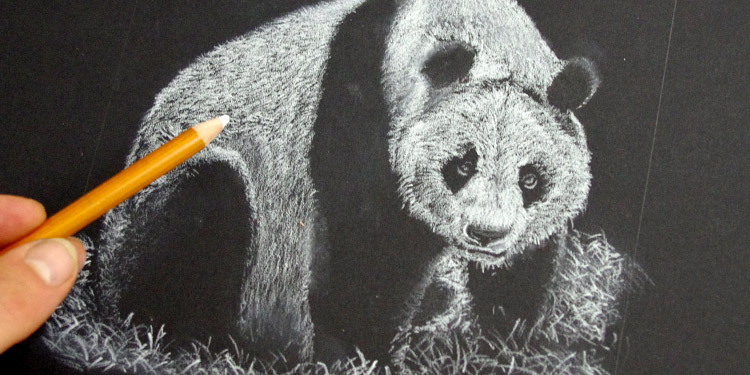 voici une méthode originale pour dessiner un panda en noir et blanc
