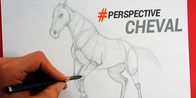 technique simple pour apprendre comment dessiner un cheval en perspective pas à pas