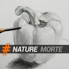 Cours pour apprendre à dessiner des natures mortes pas à pas avec dessin-creation