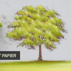 technique utile pour apprendre à peindre un arbre au pastel sec et bien choisir son papier