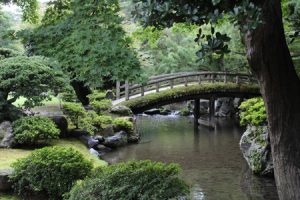 Comment dessiner un jardin japonais avec cette série de cours pour apprendre le desisn de paysage