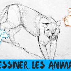 dessiner des animaux plus simplement avec ces techniques simples et ludiques