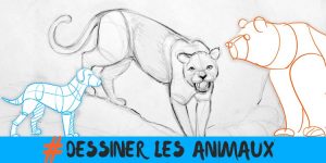 dessiner des animaux plus simplement avec ces techniques simples et ludiques
