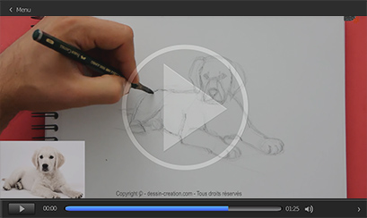 apprendre à dessiner des animaux en ligne avec l'art du croquis