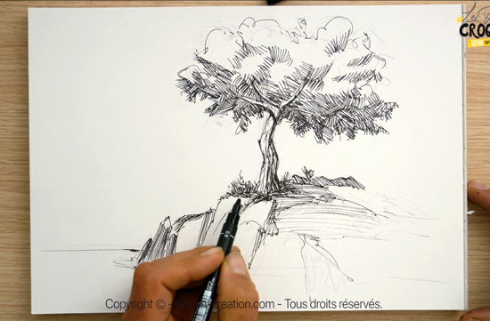 Cours de dessin facile : réaliser un arbre à l'encre et à l'aquarelle ...